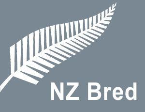 Buy Kiwi Made NZ Made